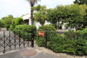 薬用植物園一般公開